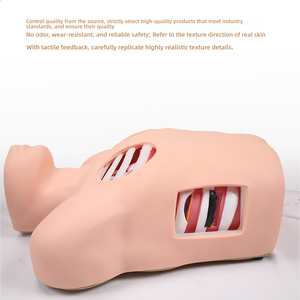 แบบจำลองฝึกหัดการเจาะและระบายน้ำในช่องท้องทรวงอกขั้นสูง - เครื่องจำลองภาวะเลือดและอากาศอุดตันในทรวงอกสำหรับการฝึกอบรมฉุกเฉินทางการแพทย์ - Product Image 4