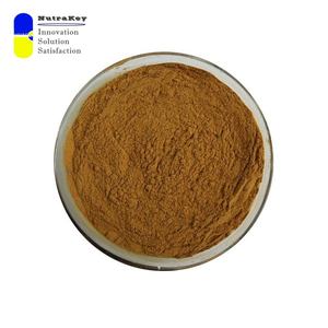 สารสกัดหน่อไม้ฝรั่งมาตรฐาน (shatavari) 10% ซาโปนิน-adaptogen อายุรเวท - Product Image 1