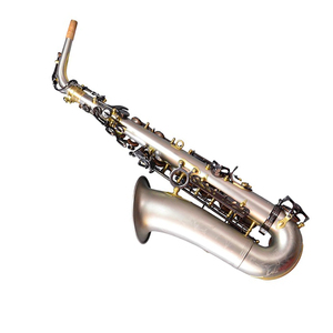 <span class=keywords><strong>Sassofono</strong></span> Contralto Professionale in Eb, Nichelato, Laccato Oro, Strumento a Fiato con Custodia Rigida e Bocchino - Product Image 1
