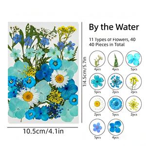 ดอกไม้แห้งอัดแท้ธรรมชาติสำหรับงานเรซิ่น เคสมือถือ ที่คั่นหนังสือ กรอบรูป ของตกแต่งผนัง งานฝีมือ - Product Image 4