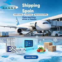 Agente de Transporte Marítimo España, Flete Aéreo Valencia Palma de Mallorca, Empresa de Logística Aeroportuaria, Envío Puerta a Puerta, Envío Exprés