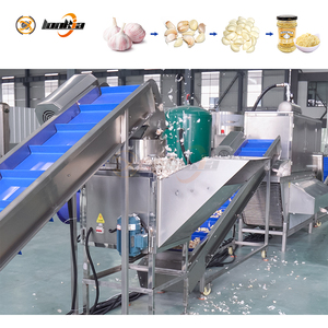 Impianto di Lavorazione dell'Aglio con <span class=keywords><strong>Separatore</strong></span> Automatico dei Bulbi, Macchina Pelatrice, <span class=keywords><strong>Lavatrice</strong></span> e <span class=keywords><strong>Asciugatrice</strong></span> Industriale e Attrezzatura per la Macinazione - Product Image 1