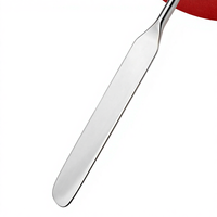 Spatule en acier inoxydable pour masque facial, outil de maquillage pour une couverture uniforme et un correcteur, spatule cosmétique, grattoir, palette, bâton de mélange