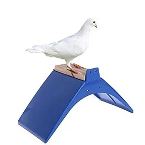 Best Sale Perches V Pigeon Bird Pet Rest Stand Roost Frame Plastic Pigeon Perches