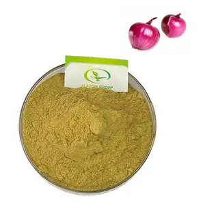 GMP high quality allium cepa bulb extract dehydrated onion powder