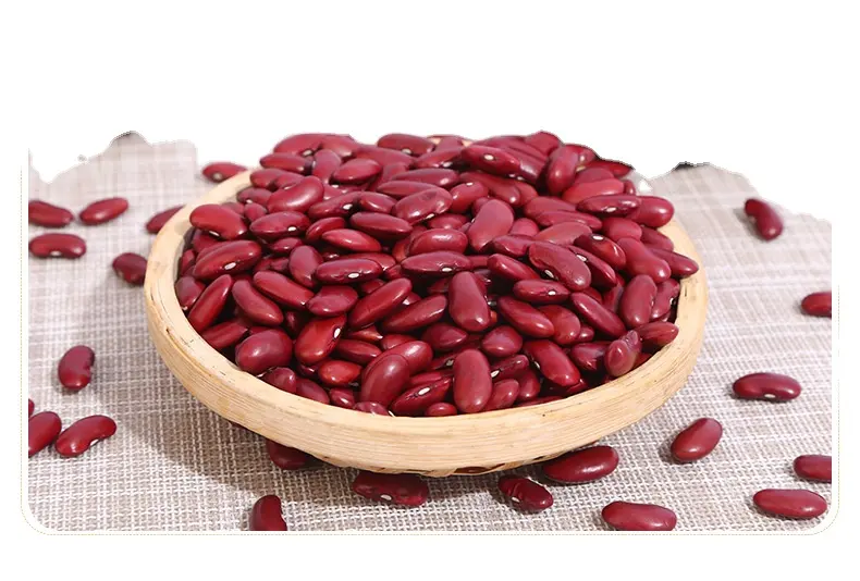 Aditif hijau alami murni bernutrisi kelas atas-bebas kacang ginjal merah memenuhi kebutuhan nutrisi dari tubuh manusia