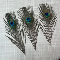Plumes de paon naturelles de haute qualité en gros, 25-30 cm, pour la décoration de scène, le carnaval, les loisirs créatifs et les ornements de vases