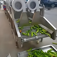 Automatische flitsdroogmachine voor fruit, groenten, rubber, PLC-gestuurde gaasbanddroger, SUS304, elektrische/gasverwarming voor efficiënt drogen