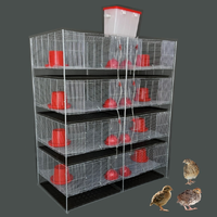 Cage d'élevage de cailles robuste galvanisée à chaud pour l'élevage à petite échelle et les opérations d'élevage de volailles en arrière-cour
