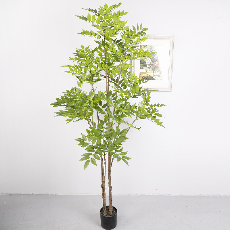 Arbre de toon chinois de 1,8 mètre de haut à 110 feuilles [vert]