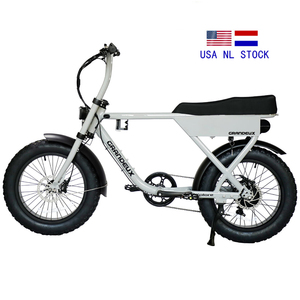 จักรยานไฟฟ้าไฮเฟซเมาท์เทน รุ่น ATV08-X-p'ro Trend Electric OEM  ยางใหญ่ 72V สำหรับขับขี่ออฟโรด - Product Image 3