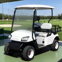 Voiturette de golf électrique économique 4 places, directement de l'usine, universelle multi-scènes pour la communauté, le campus, les trajets courts et les déplacements en dune