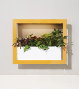 Boîte de <span class=keywords><strong>Jardinière</strong></span> de Plantes d'Intérieur Smart Home de Style Chaud Vente en Gros - Product Image 4