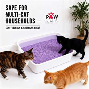 DongnaiPETS Bloc de litière pour chat biodégradable et écologique, au charbon actif, en bois et amidon de maïs, jetable aux toilettes, sans odeur - Product Image 1