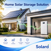 Système de Stockage d'Énergie Solaire Hybride 51.2V 314Ah WIFI CAN LiFePO4 16KWh avec Cellules de Qualité 8000 Cycles, Empilable et Sûr pour Appareils Électroménagers