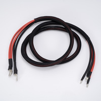 Kabel Harness Daya Arus Tinggi Merah Hitam dengan Terminal Cincin yang Dilapisi Selubung Anyaman untuk Koneksi Peralatan Tenaga Baterai