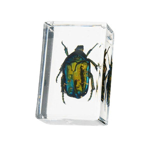 Serre-livres en résine cristalline ambre avec spécimen de scarabée Kun véritable et papillon, décoration artisanale miniature, fabriqué sans… (infini) - Product Image 5