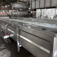 6m Automatische Voedselverwerkingslijnen - Fruit- en groentewasmachine Voedselsterilisator 800kg/u capaciteit SUS30408 Materiaal 3mm