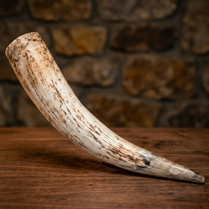Corne de mouton naturelle sélectionnée à la main, brute, courbée, structure organique, polie, art populaire, artisanat traditionnel, thème animalier, décoration - Product Image 1