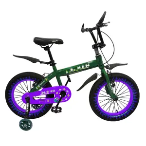 Professionele Fiets Fabriek Levering 12/14/16 Inch Sport Weg Mtb Fiets Met Stalen Vork Hot Verkoop Tegen Goedkope Prijs