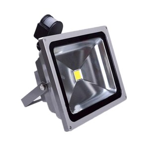 Mini c&aacute;mara con Sensor de movimiento a prueba de explosiones, IP65, 10W, 12V, accesorios verdes, luz de inundaci&oacute;n LED PIR - Product Image 1