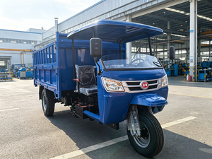 Triciclo Diesel per Carichi Pesanti con Accensione Elettrica per Trasporto Merci su Strade Difficili - Prezzo di Fabbrica - Product Image 5