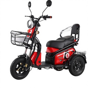 Tricycles électriques pliables à vitesse unique 48V 600W pour adultes et personnes âgées, personnalisables, prix d'usine, vente en gros, offre spéciale - Product Image 1