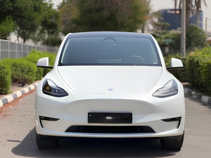 Modelo Y Long Range AWD 2023 de Tesla - Product Image 1
