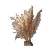 Bouquet de fleurs séchées naturelles en plumes de lapin de la pampa et coton, pour arrangements bohèmes de mariage, emballage de Pâques, 43-60cm