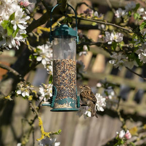 Mangeoire à oiseaux <span class=keywords><strong>multi</strong></span>-perforée suspendue pour l'extérieur Distributeur de nourriture pour oiseaux avec couvercle côté transparent Mangeoire à oiseaux sauvage portable pour le jardin - Product Image 5