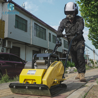 Compacteur à plaques électrique 90kg 220v pour le compactage du sol