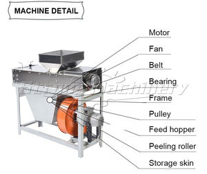 Éplucheur de peau rouge d'arachide éplucheur d'arachide torréfiée automatique - Product Image 3