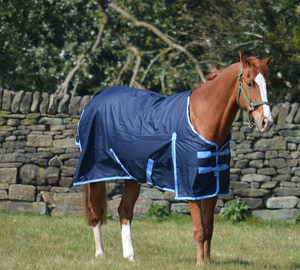 Couverture anti-mouches légère en maille respirante en polycoton personnalisable toutes saisons pour chevaux, protection UV, pour écurie et extérieur - Product Image 3