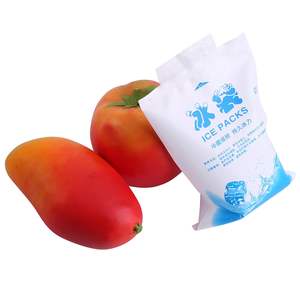 カスタマイズ可能なカスタムロゴ入り使い捨てプラスチック食品ミニクーラーゲルドライアイスパック冷凍セルシート（ロゴ入り）クーラーランチボックス用 - Product Image 4