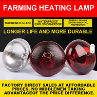 Lampe chauffante infrarouge épaissie pour l'élevage, neuve, pour couveuse d'animaux (poulets, porcs, etc.)