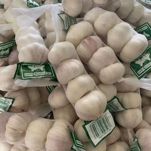 <span class=keywords><strong>Ajo</strong></span> chino orgánico fresco blanco rojo y púrpura variedades certificadas <span class=keywords><strong>cultivo</strong></span> normal al por mayor barato para uso alimentario - Product Image 6