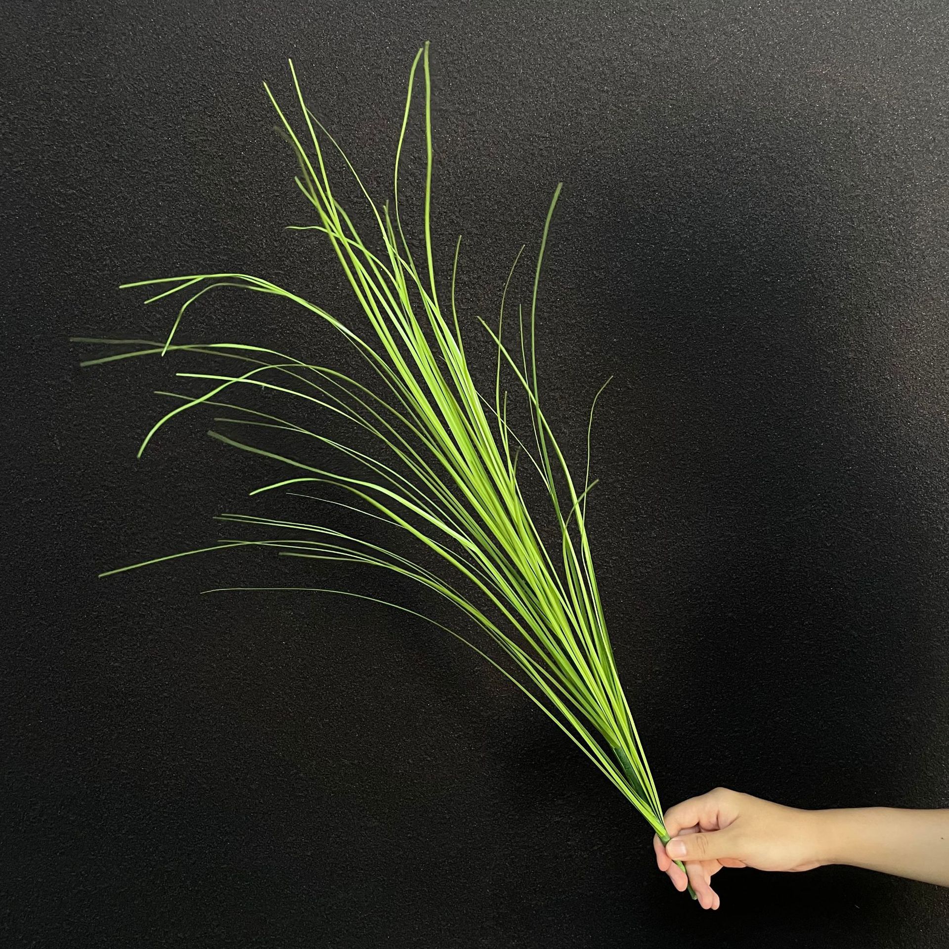 [19]Herbe de roseau verte 70 cm