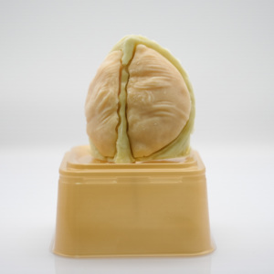 Dessert glacé en forme de durian certifié Halal, avec garniture croustillante, boîte de 70g, dessert glacé aux fruits - Product Image 1