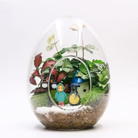 Wohndekor Miniatur-Sukkulenten Glasbehälter Leeres Eiförmiges Glas Transparentes Hochborosilikatglas Pflanzenterrarium