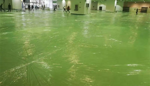 800G Giá Rẻ Triển Lãm Thảm Đỏ Thảm Đám Cưới - Product Image 5