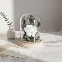 Vente en gros Roses blanches pures conservées pour toujours en verre Cadeaux créatifs pour fille Fleurs conservées