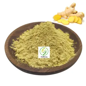 Wholesale Natural Ginger Root Extract Powder Gingerols 5% 20% Ginger Powder