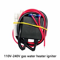 TIANWANG RSQ-3 Transformateur d'allumage à impulsions pour chaudière à gaz naturel et kérosène, bobine toroïdale, sortie 50/60Hz 110-220V