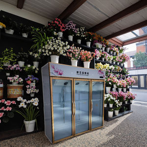 Exhibidor Refrigerado para Flores de 1700L, Refrigerador Automático para Exhibición de Flores, Modo de Enfriamiento por Aire - Product Image 1