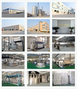 Chất Nhũ Hoá Lecithin Đậu Nành - Product Image 6