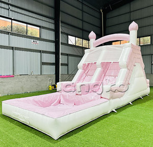 Jardin gonflable de glissière d'eau de toboggan rose pastel avec le ventilateur - Product Image 3