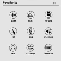 Enceinte portable d'extérieur double 8 pouces haute puissance sans fil 5.2 avec LED RGB, appairage TWS et batterie grande capacité
