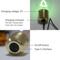 Grande Promotion Ampoule LED Portable DC 5V USB Rechargeable avec Batterie Intégrée pour Décoration