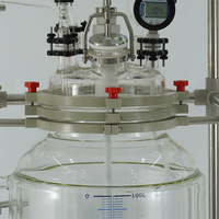 Reactor de Vidrio Borosilicato con Camisa de 100L, Motorizado, para Polimerización, Síntesis Catalítica y Plantas de Fabricación