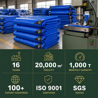Chine personnalisé 20x30 30x50 40x60 20x20 15x15 10x10 bâche imperméable robuste en pe bâche